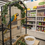 Reward your feathered friend