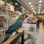 Look who just flew in (and boy are their wings tired!)